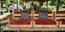 Черешите вече са като еврото – предлагат коли срещу щайги